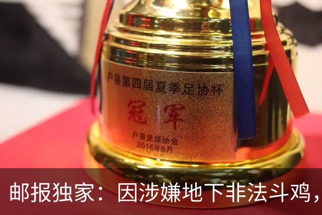邮报独家：因涉嫌地下非法斗鸡，C罗姐姐的男友遭巴西警方调查