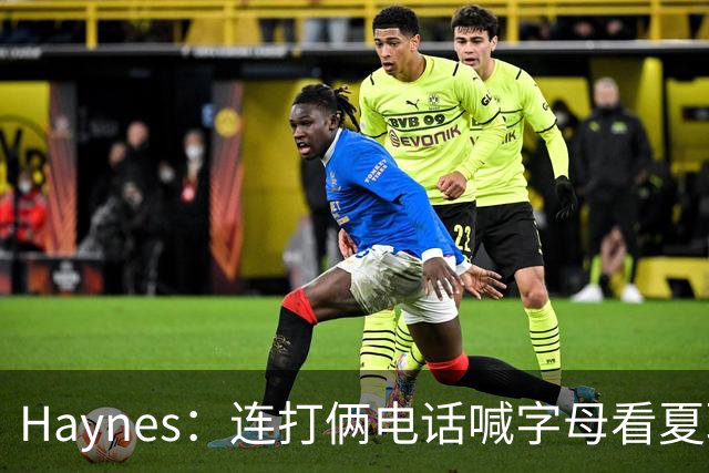 Haynes：连打俩电话喊字母看夏联差点被大骂 他以为热火有大新闻