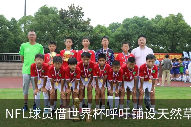 NFL球员借世界杯呼吁铺设天然草，专家：成本问题客观存在，可行性存疑